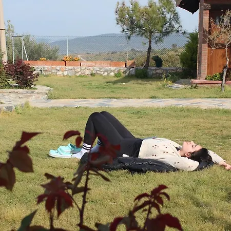 Gospodarstwo wiejskie Olive Garden Retreat Milas