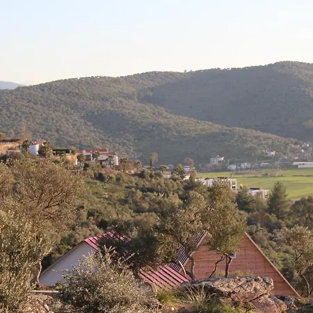 Gospodarstwo wiejskie Olive Garden Retreat *