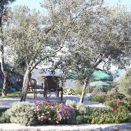 Gospodarstwo wiejskie Olive Garden Retreat Milas